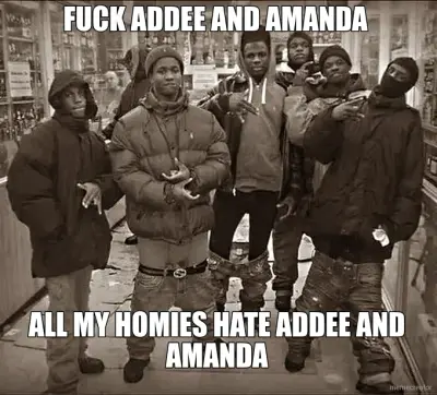 FUCK ADDEE AND AMANDA - ALL MY HOMIES HATE ADDEE AND AMANDA meme
