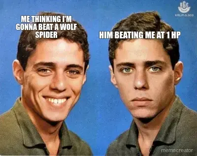 ME THINKING I'M GONNA BEAT A WOLF SPIDER - HIM BEATING ME AT 1 HP meme