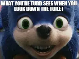 WHAT YOU'RE TURD SEES WHEN YOU LOOK DOWN THE TOILET meme