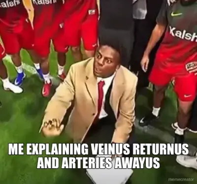 ME EXPLAINING VEINUS RETURNUS AND ARTERIES AWAYUS meme