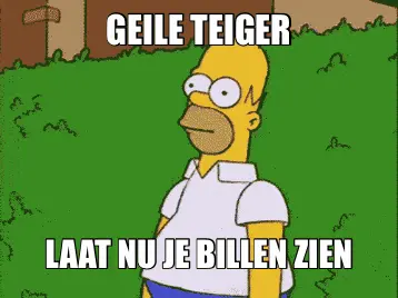 GEILE TEIGER | LAAT NU JE BILLEN ZIEN meme