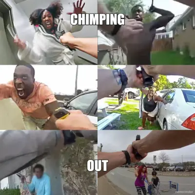 CHIMPING - OUT meme