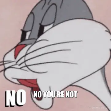 NO YOU’RE NOT meme