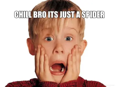 CHILL BRO ITS JUST A SPIDER meme