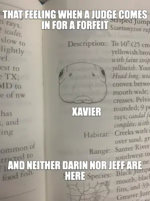 THAT FEELING WHEN A JUDGE COMES IN FOR A FORFEIT - AND NEITHER DARIN NOR JEFF ARE HERE - XAVIER meme