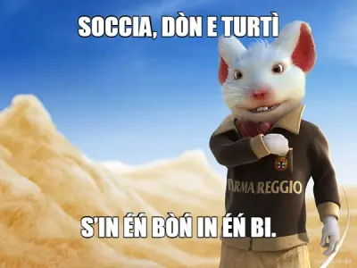 SOCCIA, DÒN E TURTÌ - S’IN ÉŃ BÒŃ IN ÉŃ BI. meme