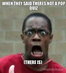 WHEN THEY SAID THERES NOT A POP QUIZ - (THERE IS) meme