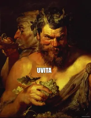 UVITA meme