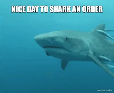 NICE DAY TO SHARK AN ORDER meme