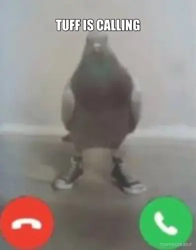 TUFF IS CALLING meme