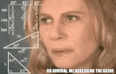 ON ARRIVAL: ME ASSESSING THE SCENE meme