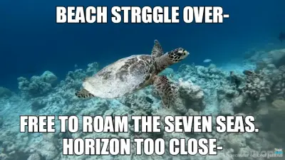 BEACH STRGGLE OVER- - HORIZON TOO CLOSE- - FREE TO ROAM THE SEVEN SEAS. meme