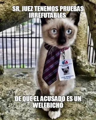 SR, JUEZ TENEMOS PRUEBAS IRREFUTABLES  - DE QUE EL ACUSADO ES UN WELEBICHO meme