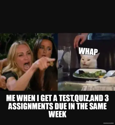 WHAP - ME WHEN I GET A TEST,QUIZ,AND 3 ASSIGNMENTS DUE IN THE SAME WEEK meme