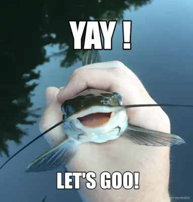 YAY ! - LET'S GOO! meme