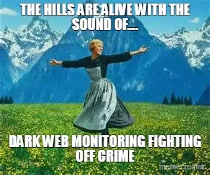 THE HILLS ARE ALIVE WITH THE SOUND OF.... - DARK WEB MONITORING FIGHTING OFF CRIME meme