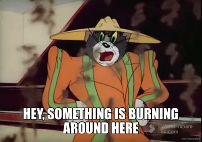 HEY, SOMETHING IS BURNING AROUND HERE meme