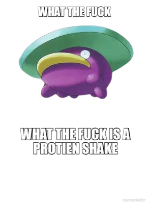 WHAT THE FUCK - WHAT THE FUCK IS A PROTIEN SHAKE meme