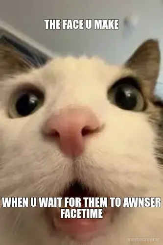THE FACE U MAKE - WHEN U WAIT FOR THEM TO AWNSER FACETIME meme