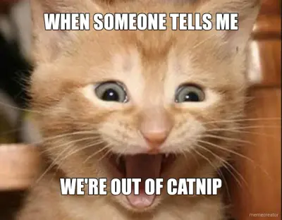 WHEN SOMEONE TELLS ME - WE'RE OUT OF CATNIP meme