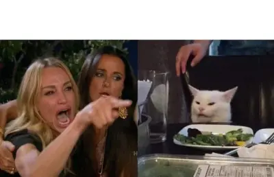 Woman Yelling at Cat meme meme