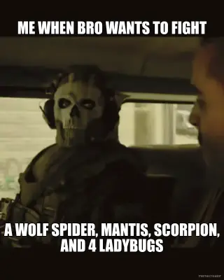 ME WHEN BRO WANTS TO FIGHT - A WOLF SPIDER, MANTIS, SCORPION, AND 4 LADYBUGS meme