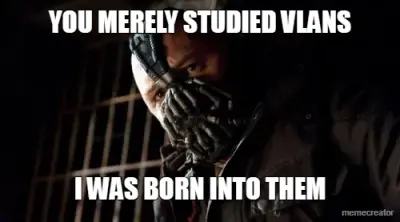 YOU MERELY STUDIED VLANS - I WAS BORN INTO THEM meme