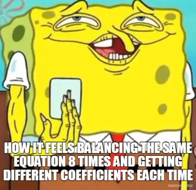 HOW IT FEELS BALANCING THE SAME EQUATION 8 TIMES AND GETTING DIFFERENT COEFFICIENTS EACH TIME meme