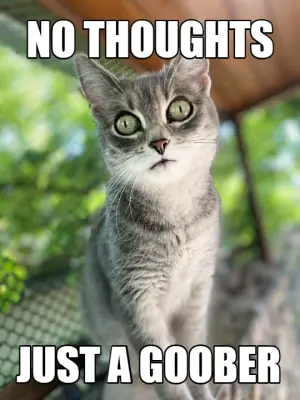 NO THOUGHTS - JUST A GOOBER meme