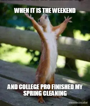WHEN IT IS THE WEEKEND - AND COLLEGE PRO FINISHED MY SPRING CLEANING
