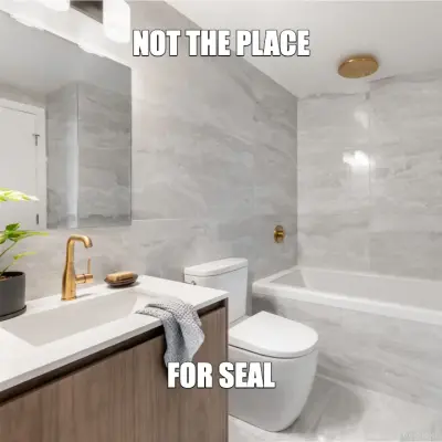 NOT THE PLACE - FOR SEAL meme