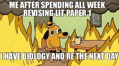 ME AFTER SPENDING ALL WEEK REVISING LIT PAPER 1 - I HAVE BIOLOGY AND RE THE NEXT DAY meme