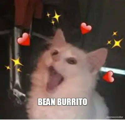 BEAN BURRITO meme