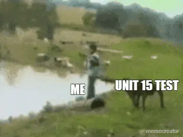 UNIT 15 TEST - ME meme