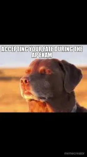 ACCEPTING YOUR FATE DURING THE AP EXAM meme