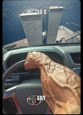 30’S - LILY meme