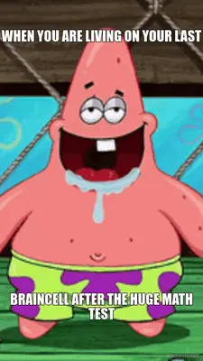 WHEN YOU ARE LIVING ON YOUR LAST - BRAINCELL AFTER THE HUGE MATH TEST meme