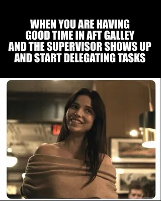 WHEN YOU ARE HAVING
GOOD TIME IN AFT GALLEY
AND THE SUPERVISOR SHOWS UP
AND START DELEGATING TASKS meme
