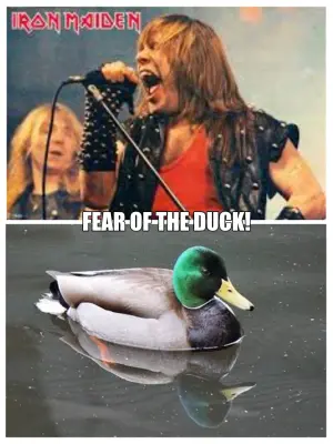FEAR OF THE DUCK! meme