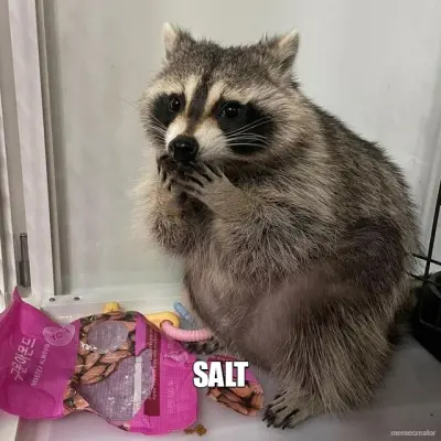 SALT meme