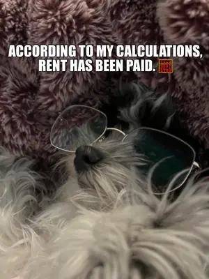 ACCORDING TO MY CALCULATIONS, RENT HAS BEEN PAID. 🧮 meme