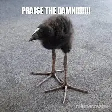 PRAISE THE DAMN!!!!!!! meme