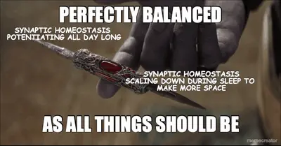 PERFECTLY BALANCED - AS ALL THINGS SHOULD BE - SYNAPTIC HOMEOSTASIS 
POTENTIATING ALL DAY LONG
 - SY meme