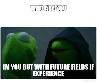 WHO ARE YOU - IM YOU BUT WITH FUTURE FIELDS IF EXPERIENCE meme