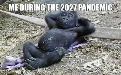 ME DURING THE 2027 PANDEMIC meme