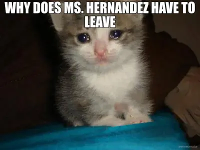WHY DOES MS. HERNANDEZ HAVE TO LEAVE meme