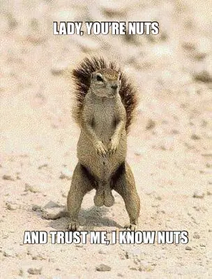 LADY, YOU’RE NUTS - AND TRUST ME, I KNOW NUTS meme