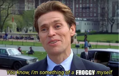 FROGGY meme