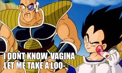LET ME TAKE A LOO- — I DONT KNOW, VAGINA meme