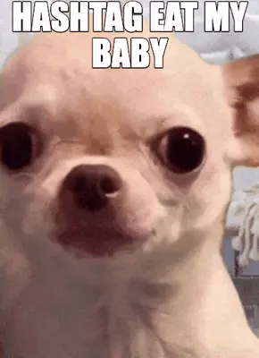 HASHTAG EAT MY BABY meme
